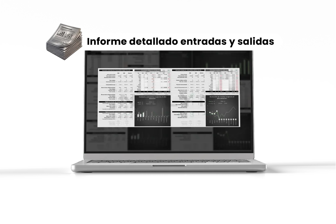 NOLYN Tools — informe de entradas y salidas